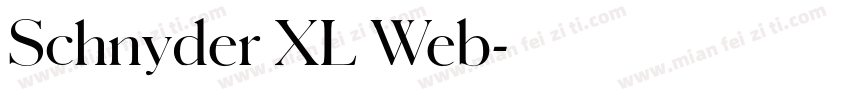 Schnyder XL Web字体转换